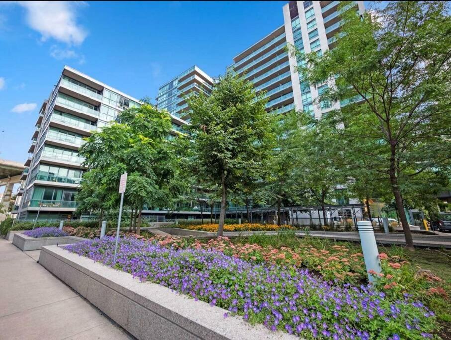 טורונטו Cn Tower View With Free Parking, Pool, & More Amenities מראה חיצוני תמונה